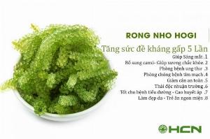 Rong nho tách nước NHật BẢn