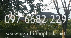 Tấm lợp bitum TechGreen, sản phẩm thay thế ngói truyền thống, ngói đá tự nhiên