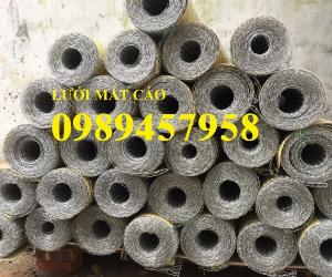 Bán lưới trát tường, lưới mắt cáo bọc nhựa, Lưới mạ kẽm D2, D3 có sẵn