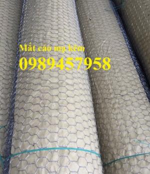 Bán lưới trát tường, lưới mắt cáo bọc nhựa, Lưới mạ kẽm D2, D3 có sẵn