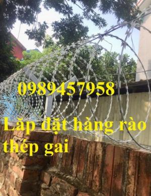 Dây thép gai hình dao đường kính 45cm, Dây thép gai biệt thự