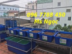 Thùng nhựa vuông nuôi cá cảnh 2000 lít, 1000 lít, 500 lít