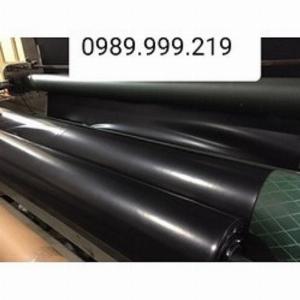 Bạt hdpe 0.3mm trải lót ao,be bờ giá siêu rẻ 2021