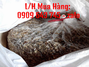 Bao Jumbo Ủ Chua Giá Rẻ