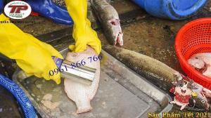 Máy đánh vảy cá bằng pin