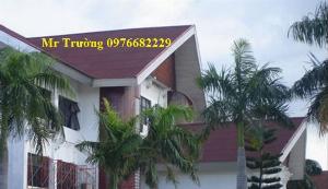 Tổng kho Tấm lợp Eco, Tấm lợp sinh thái