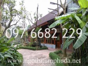 Tấm lợp thay thế tôn, tấm lợp chống nóng chống ồn tốt nhất, tấm lợp ECO