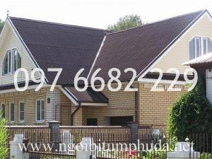 Tấm lợp sinh thái là gì, Ưu điểm của Tấm lợp sinh thái
