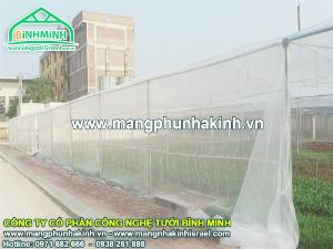 Mẫu nhà lưới đơn giản,tự làm nhà lưới, nhà lưới trồng dưa