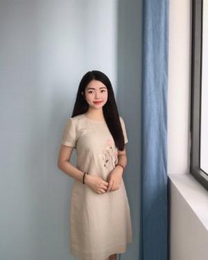Đầm suông chữ A thời trang công sở D5.3
