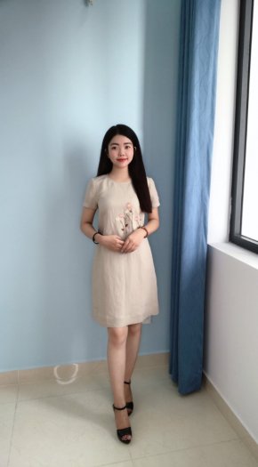 Đầm suông chữ A thời trang công sở D5.3