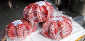 Bạch tuộc hấp sashimi cho nhà hàng, khách sạn