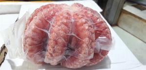 Bạch tuộc hấp sashimi cho nhà hàng, khách sạn