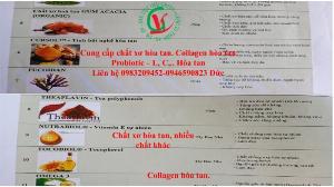 CUng cấp bột collagen hòa tan