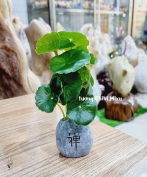 Chậu lá sen giả trang trí