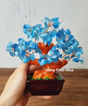 Cây Tài Lộc đá mắt mèo tự nhiên size 16cm