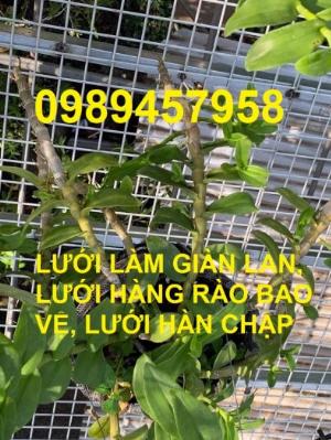 Lưới hàn chập D3, D4, D5 làm hàng rào, lưới trang trí, lưới xây dựng
