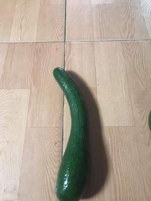 Bơ 034 từ Lâm Đồng size 3-4