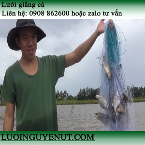 Lưới giăng cá ba màn Nguyễn Út