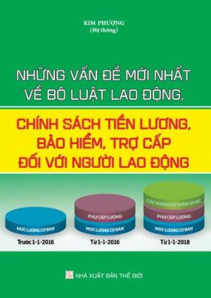 Những vấn đề mới nhất về bộ luật lao động , chính sách tiền lương