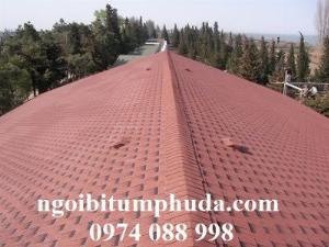 Tấm lợp nhựa đường vẩy rồng, tổ ong, hình chữ nhật nhập khẩu giá tốt