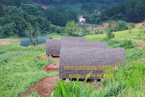 Ngói lợp nhà bungalow, tấm lợp nhựa đường cho nhà lắp ghép, ngói giả đá giá rẻ