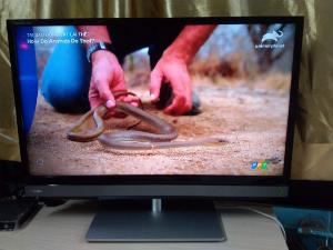 LED Tivi Toshiba 29P2300VN 29 inch HD dùng tốt
