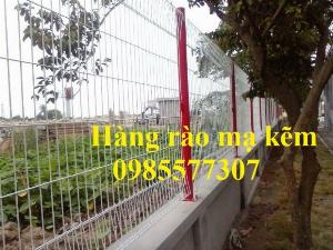 Lưới hàng rào mạ kẽm, hàng rào sơn tĩnh điện, hàng rào bọc nhựa giá tốt nhất