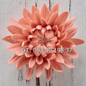 Khuôn silicon làm rau câu hoa cúc tia – Loại 10 cm - Mã số 103