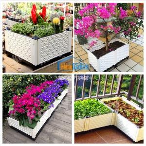 Chậu trồng hoa giấy cao 56cm hàng Đài Loan mẫu dầy đẹp KT 45x45x46cm