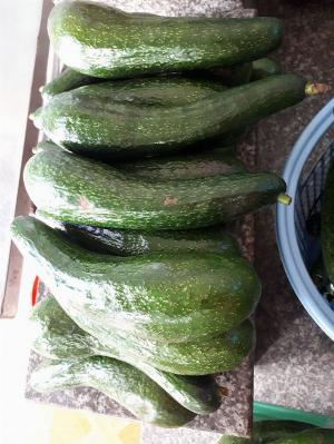 Vựa bơ Lâm Đồng chuyên giá sỉ bơ 34 bơ sáp Vườn nhà Dậu -038 557 3101 - Bơ 034 xuất khẩu