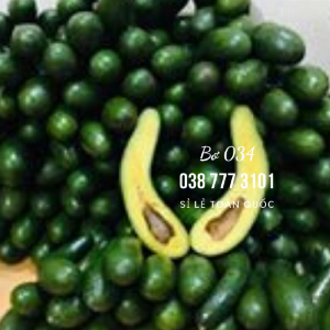 Bơ 034 sỉ bỏ sỉ từ Vườn Nhà Dậu Bao - Gọi 038 557 3101