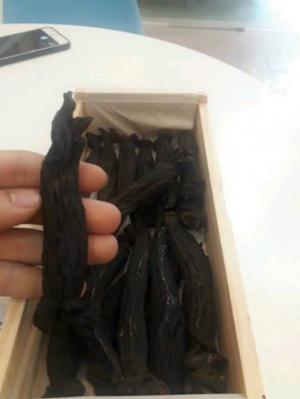 Hắc sâm khô nguyên củ hộp thiếc 300g
