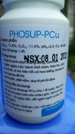 Nhân sâm cho cây 80ml : hoa kiểng ,bonsai, rau đô thị