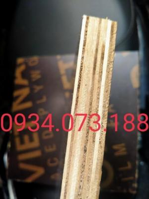 Nhà máy ván cốp pha phủ phim Tại Biên Hòa
