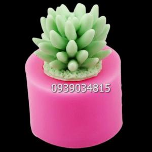 Bộ 4 khuôn silicon làm rau câu sen đá, cá chép