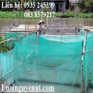 Lưới vèo may cá chuẩn thái lan