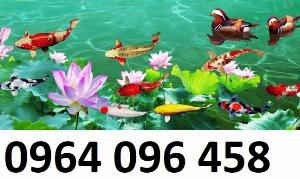 Tranh cá chép - tranh gạch 3d cá chép phong thủy - DKV44