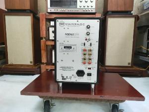 SUB MONITOR RADIUS 360