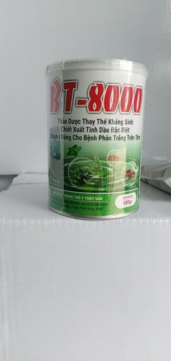 BT 6000 chuyên về bệnh phân trắng