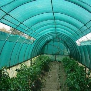 Lưới chắn chim