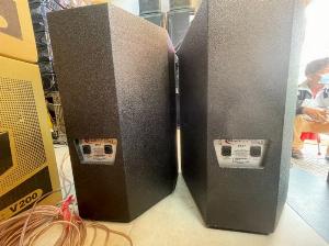 Loa martin f15 bass 40cm cho gia đình và sân khấu