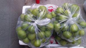 Táo Gió Gốc Phan Rang Ninh Thuận Sỉ Và lẻ Toàn Quốc