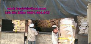 Bao Jumbo cũ giá rẻ nhất thị trường