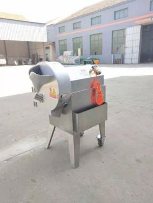 Máy thái củ quả công nghiệp các kiểu, máy thái lát, sợi, hạt lựu măng, khoai tây, cà rốt...