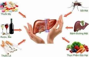Detoxmune giúp cải thiện chức năng gan, đào thải độc tố giúp tăng cường sức khỏe