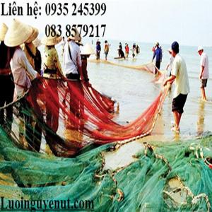 Chuyên lưới kéo cá Nguyễn Út 40 năm kinh nghiệm