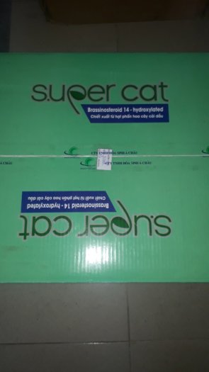SUPER CAT Brassinolide điều hòa sinh trưởng cây trồng