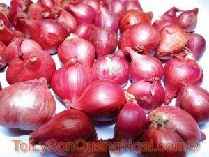 Cung cấp sỉ và lẻ Hành Tỏi Lý Sơn, Tỏi Cô Đơn, Chả cá tươi, Chả bò