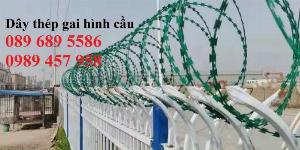 Dây kẽm gai bọc nhựa, dây thép gai hình dao bọc nhựa giá rẻ